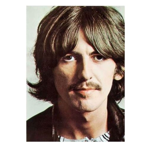 Painting and Picture of George Harrison Printed on Canvas - Image 4