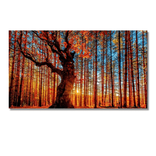 Colorful Landscape With Trees Artwork Printed on Canvas - Image 2