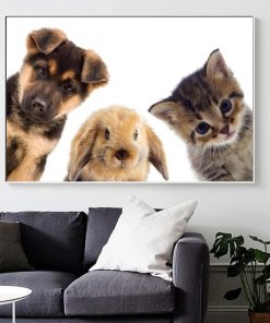 Curious Cute Animals Dog Rabbit and Cat Printed on Canvas