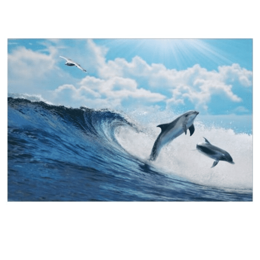 Seascape Artwork With Dolphins Printed on Canvas - Image 4