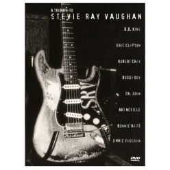 Stevie Ray Vaughan 4