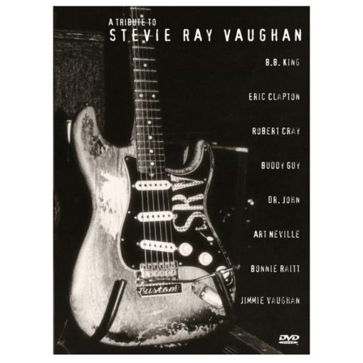 Stevie Ray Vaughan Wall Art Printed on Canvas - Image 4