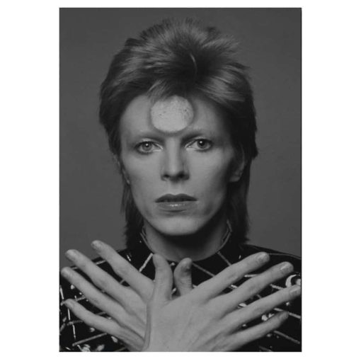 Artworks of David Bowie Printed on Canvas - Image 14