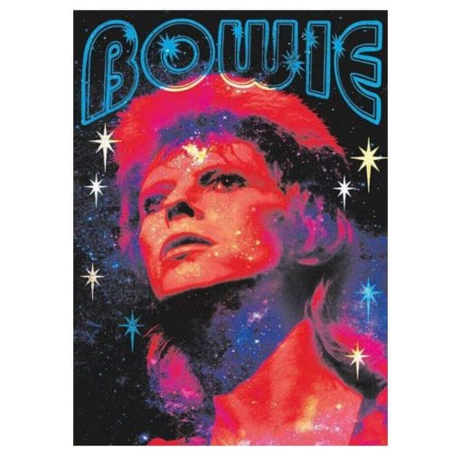 Artworks of David Bowie Printed on Canvas - Image 23