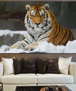 Tiger Lying in Snow Picture Printed on Canvas