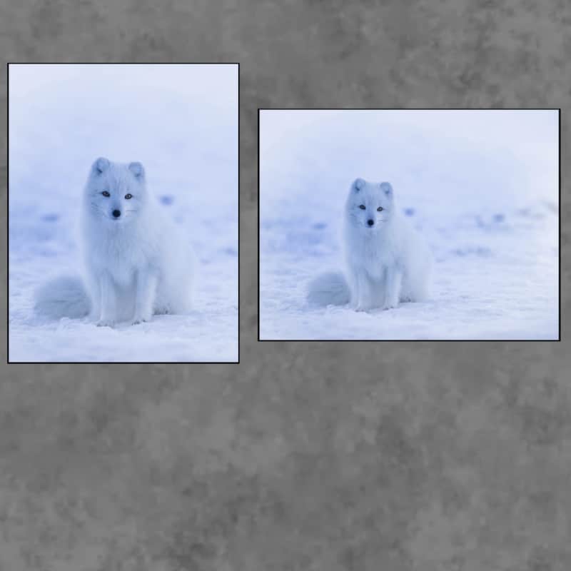 Happy Fox Enjoying the Day In The Snow Printed on Canvas