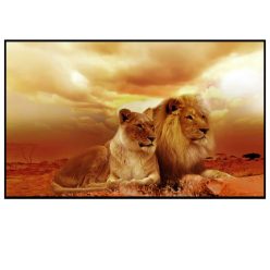 Lion and a Lioness Enjoying the View 3