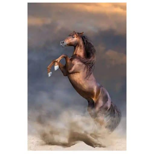 A Horse Rears in The Desert Big Size Artwork Printed on Canvas - Image 2