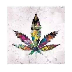Leaf Graffiti Artwork Printed on Canvas