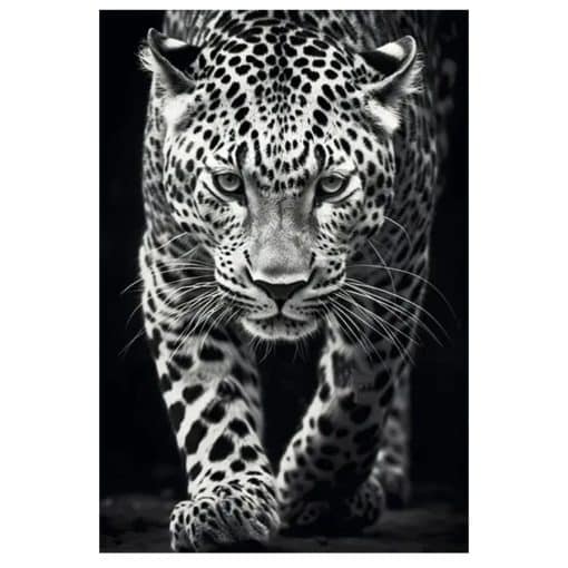 Image of Panthers Printed on Canvas - Image 3